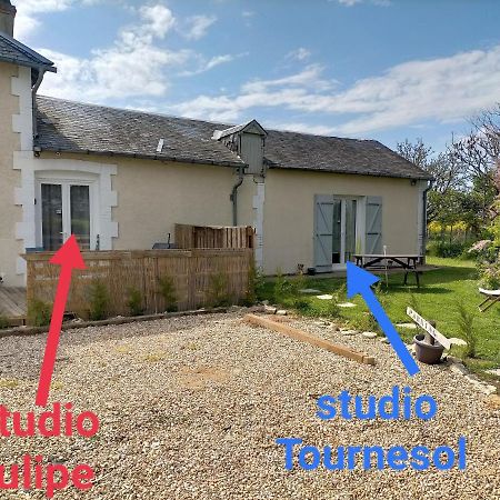 Studio " Tournesol " Au Coeur Du Berry Les Bordes Εξωτερικό φωτογραφία