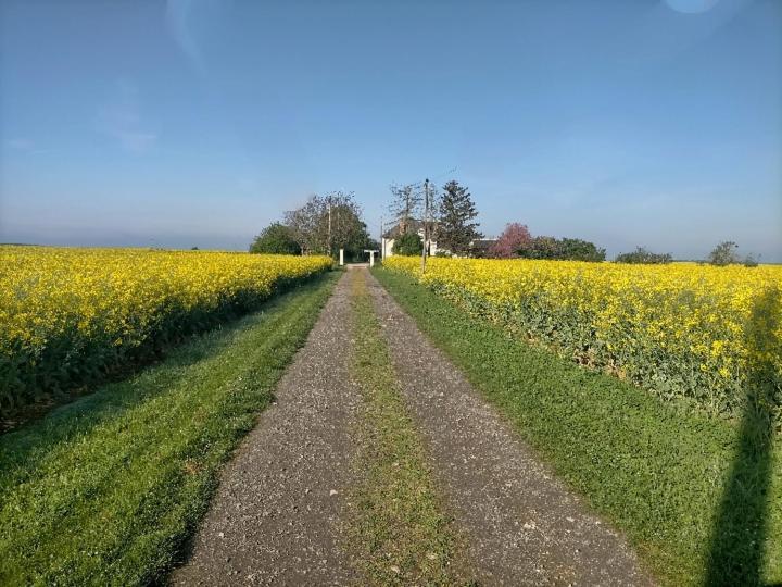Studio " Tournesol " Au Coeur Du Berry Les Bordes Εξωτερικό φωτογραφία