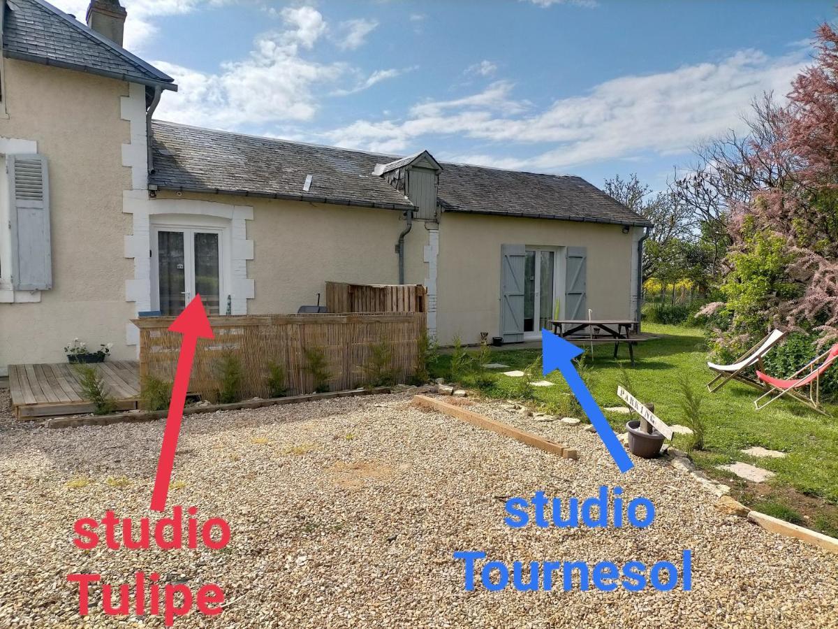 Studio " Tournesol " Au Coeur Du Berry Les Bordes Εξωτερικό φωτογραφία